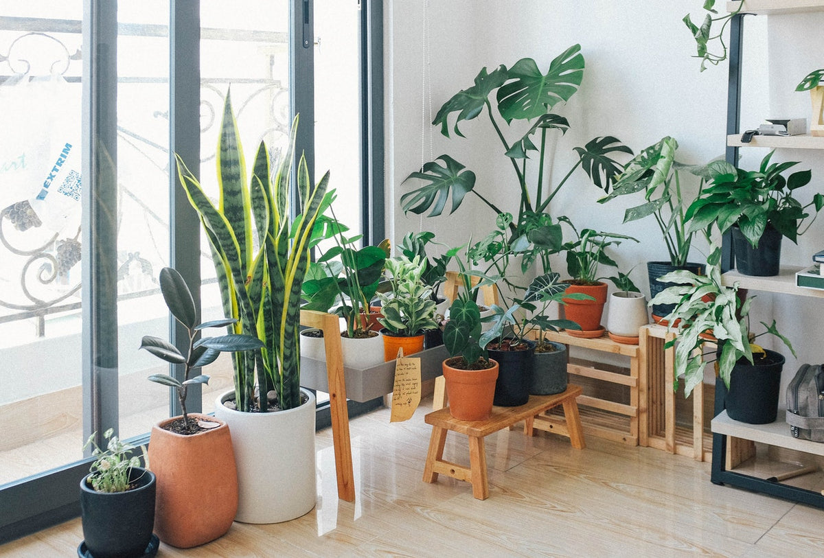 Garden Decor