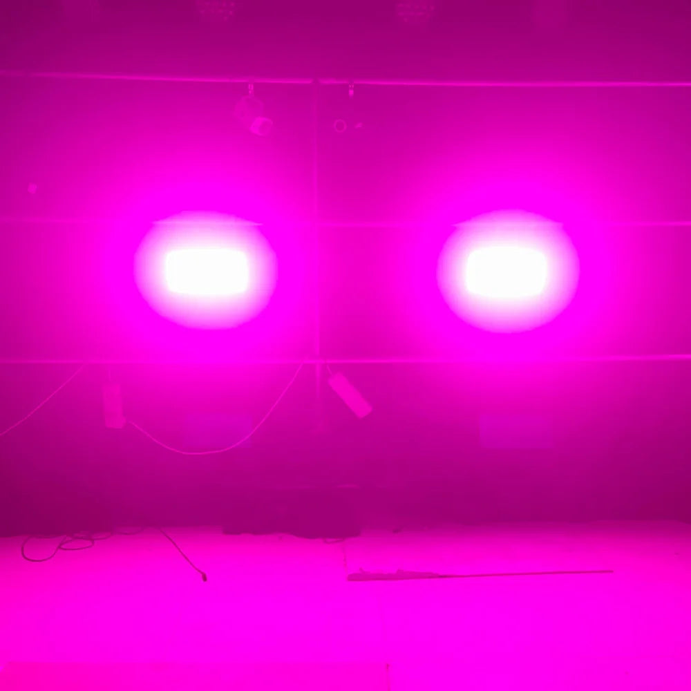HYULIGHTS Two Pack 300W LED Beam And Strobe RGBW Lights