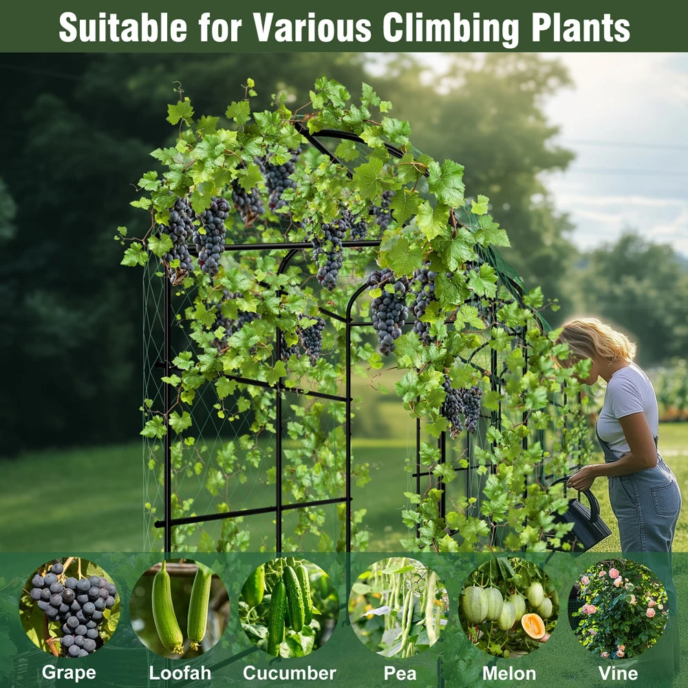 Wisfor Metal Garden Trellis For Climbing Plants