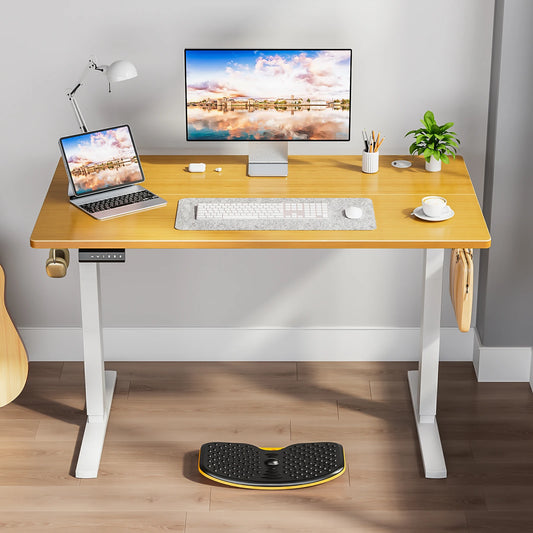 JHK Electric Adjustable Standing Desk For Home Office