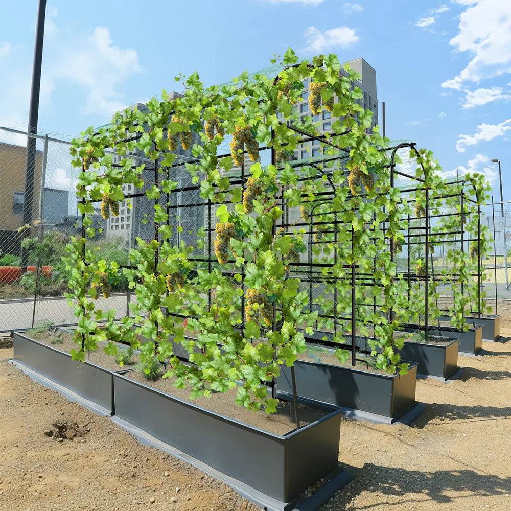 Wisfor Metal Garden Trellis For Climbing Plants