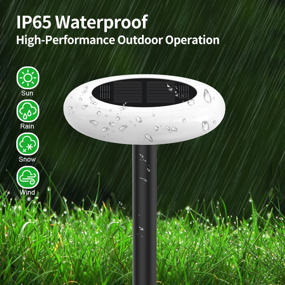 Intelamp Led Solar Pathway Lights For Outdoor Garden